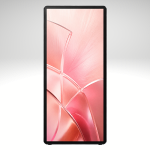 Wall-Mounted Digital Displays (1)