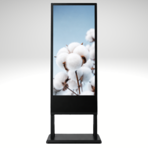 Window Digital Displays