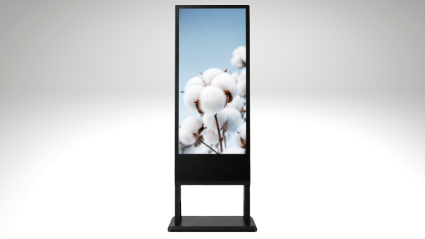 Window Digital Displays